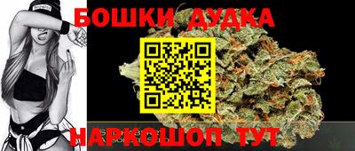 индика Новозыбков